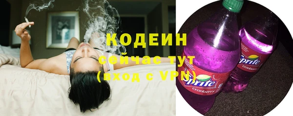 дмт Осинники
