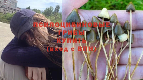 винт Зеленодольск