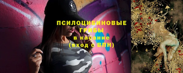 гидра Осташков