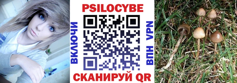 МЕГА ссылки  Калач  Псилоцибиновые грибы мухоморы 